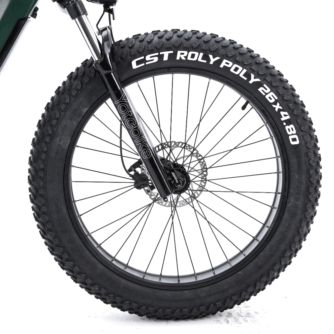 Fat tire bike tires online