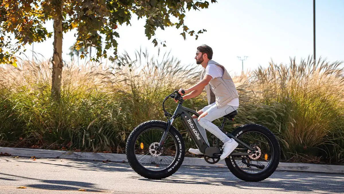The Essential Guide to Fat Tire E-Bike Components