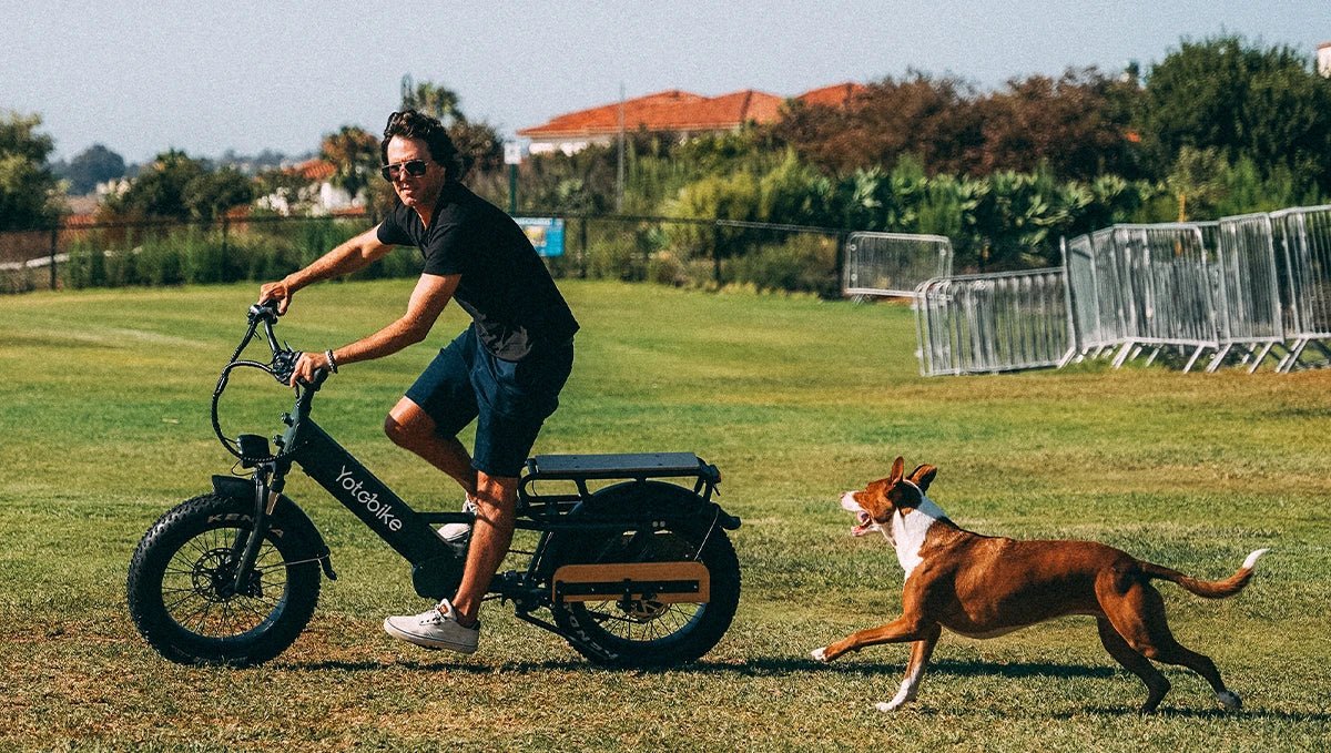 How Long Does an eBike Battery Last? Guide to Battery Lifespan