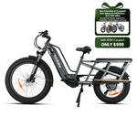 Yoto Lion Max Family Cargo Ebike