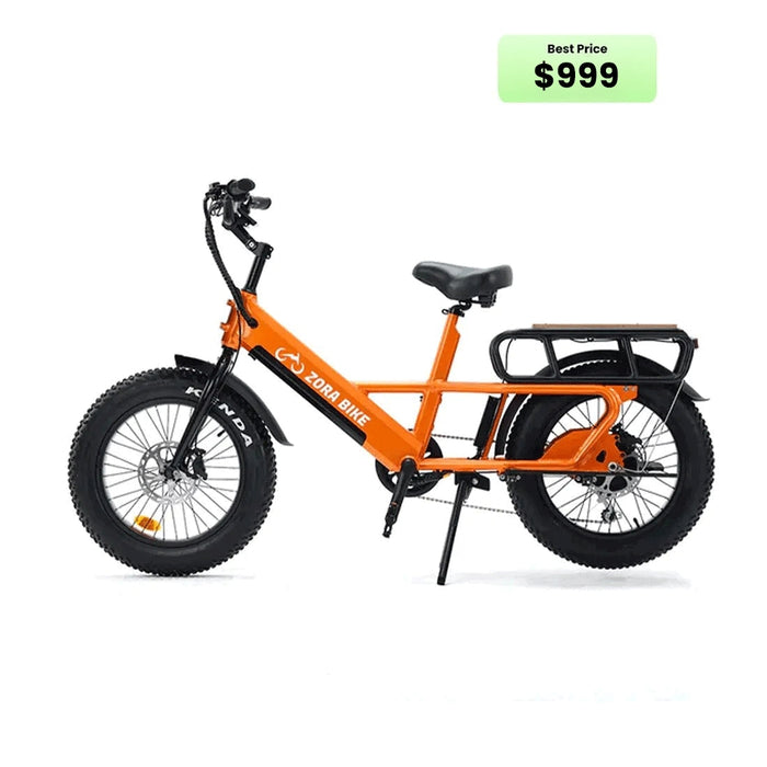 Yoto x Zora Master Delivery Ebike