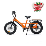 Yoto x Zora Master Delivery Ebike