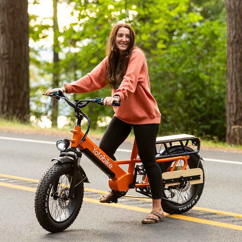 Yoto x Zora Master Delivery Ebike