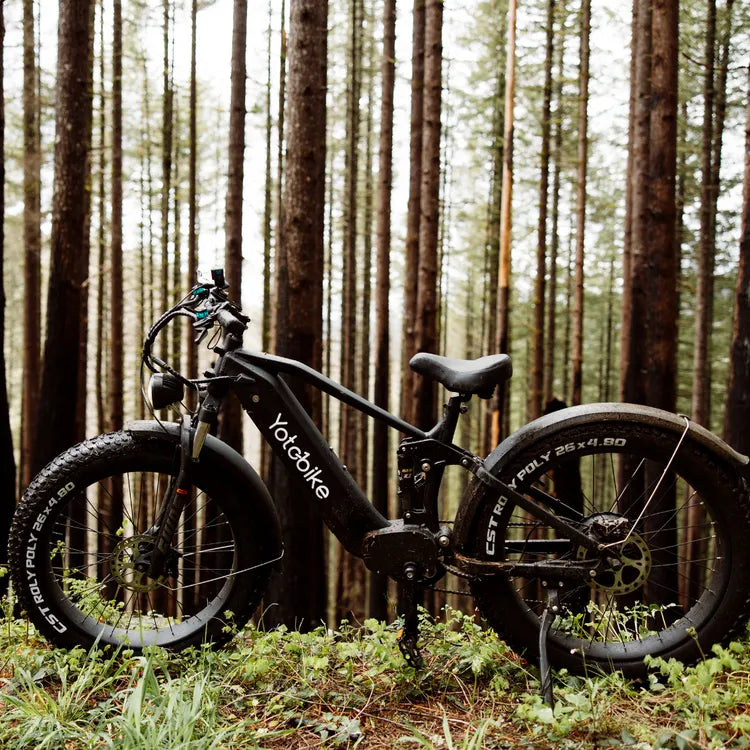 Yotobike_fat_tire_ride_in_the_forest