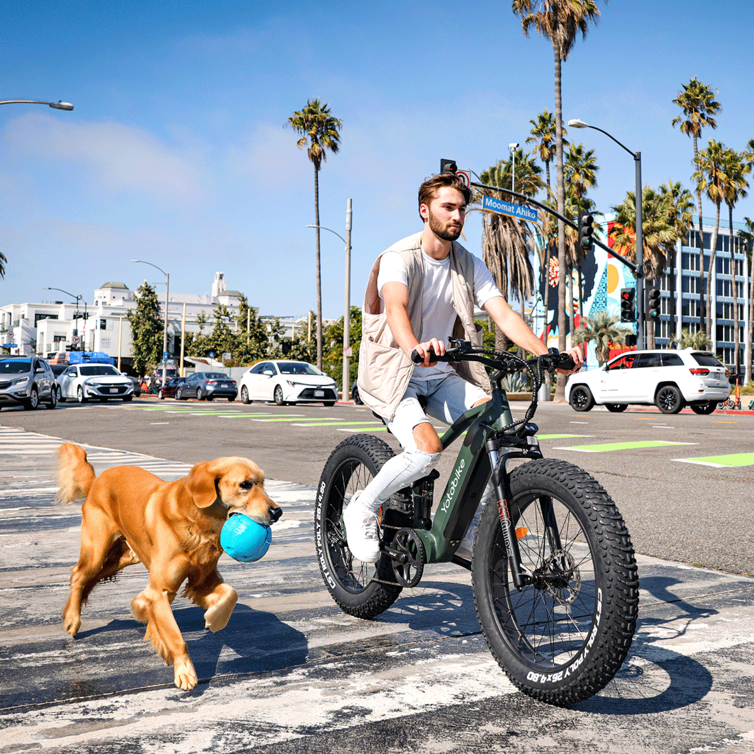 commuter-electric-road-bike-with-dog-on-street