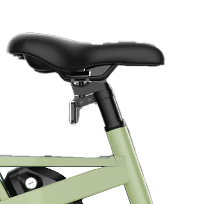 electric-family-cargo-bike-yoto-lion-adjustable-throttle