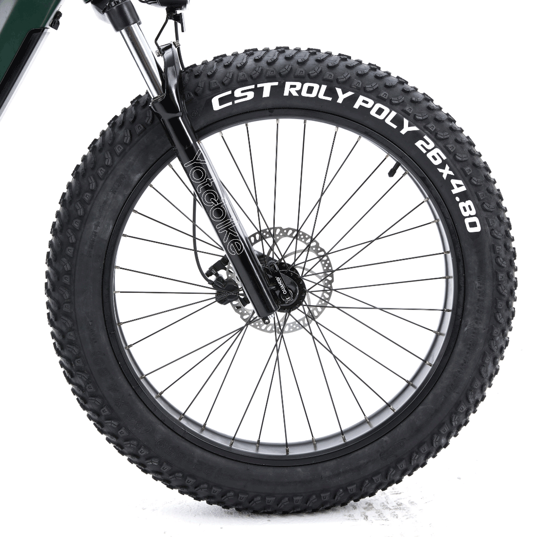 cst-26x4.8-fat-tire-for-hunting-ebike