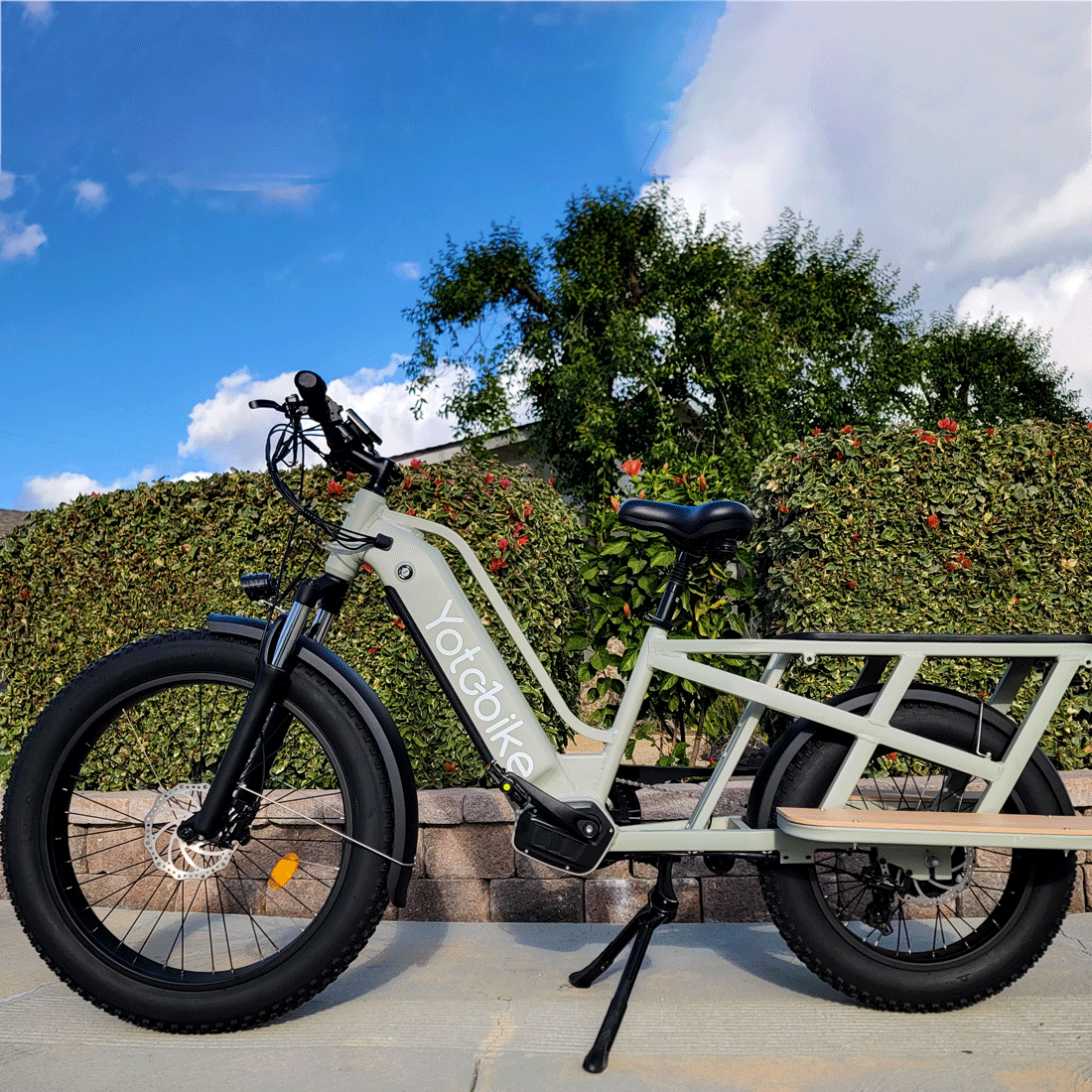 family-cargo-bike-yoto-lion-green-1100x1100